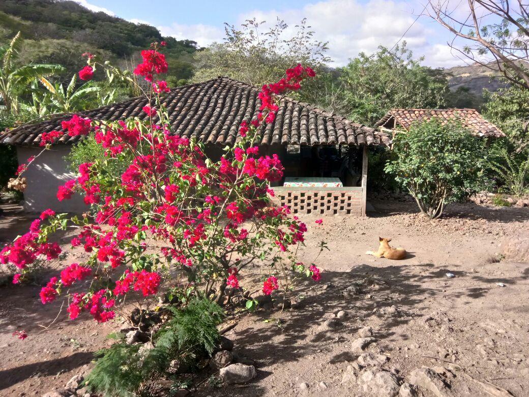 La Ceibita Tours Guest House Los Potrerillos Bagian luar foto